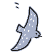 010