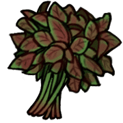 019