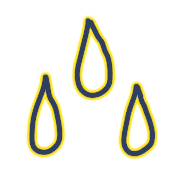 015