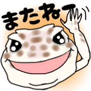006