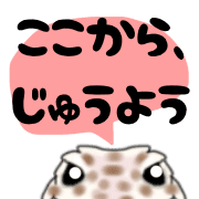 013