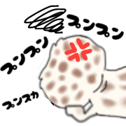 019