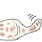 020