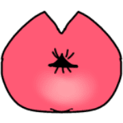 029
