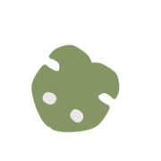 009