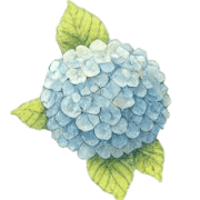 027