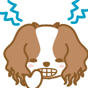 อิโมจิไลน์ DogEmoji(cavalier)-toYvu-