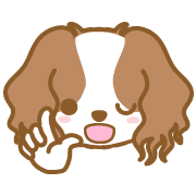 อิโมจิไลน์ DogEmoji(cavalier)-toYvu-