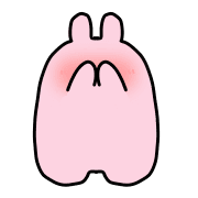 003