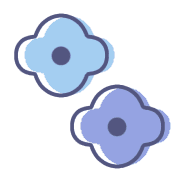 009