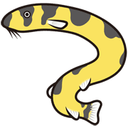 021