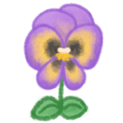 005