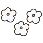 031