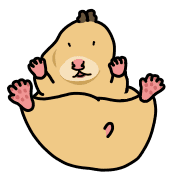 003