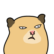 010