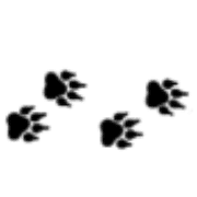 003
