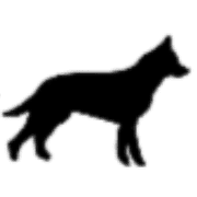 004