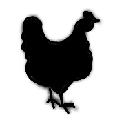 008