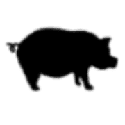 010