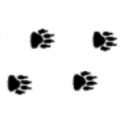 013