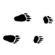 017