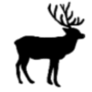 020