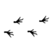 025