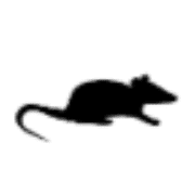 026