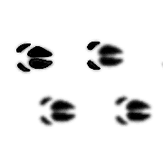 033