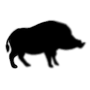 034