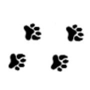 035