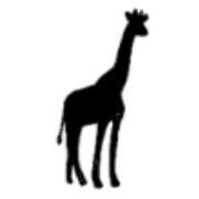 036