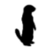 040