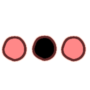 019
