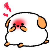 009