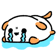 019