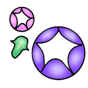 004