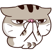 fat cat Ami animation emoji 2