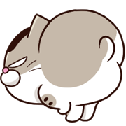 fat cat Ami animation emoji 2 รูปที่ 29