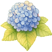 019