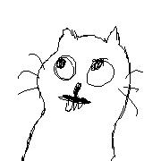 005