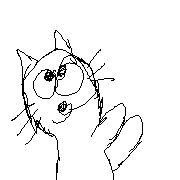 010