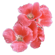 019