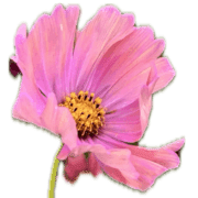022