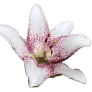 025