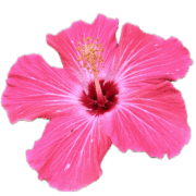 029