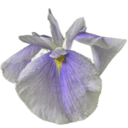 030