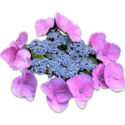 033