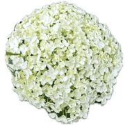 034