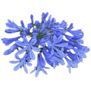 035